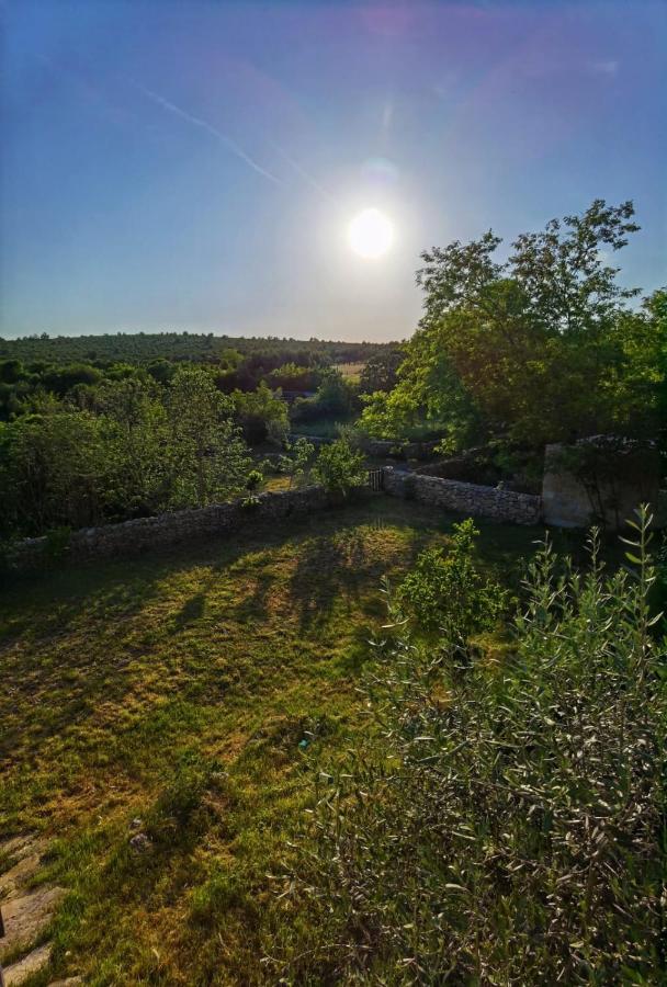Villa Dvori Dida Mile Sveti Petar  Zewnętrze zdjęcie
