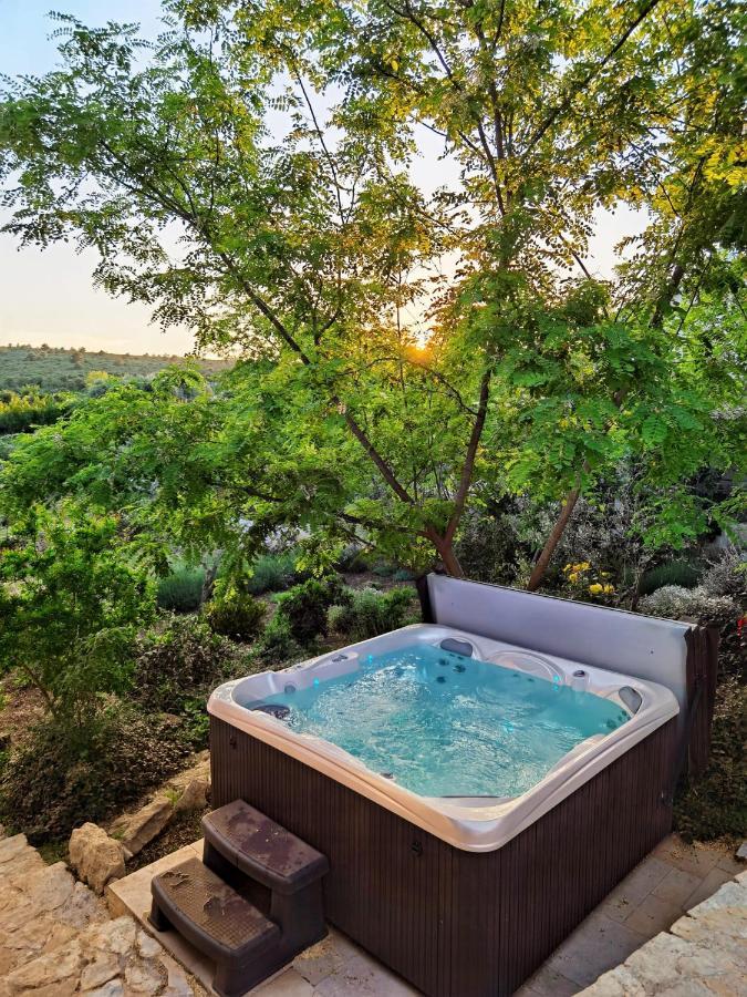 Villa Dvori Dida Mile Sveti Petar  Zewnętrze zdjęcie