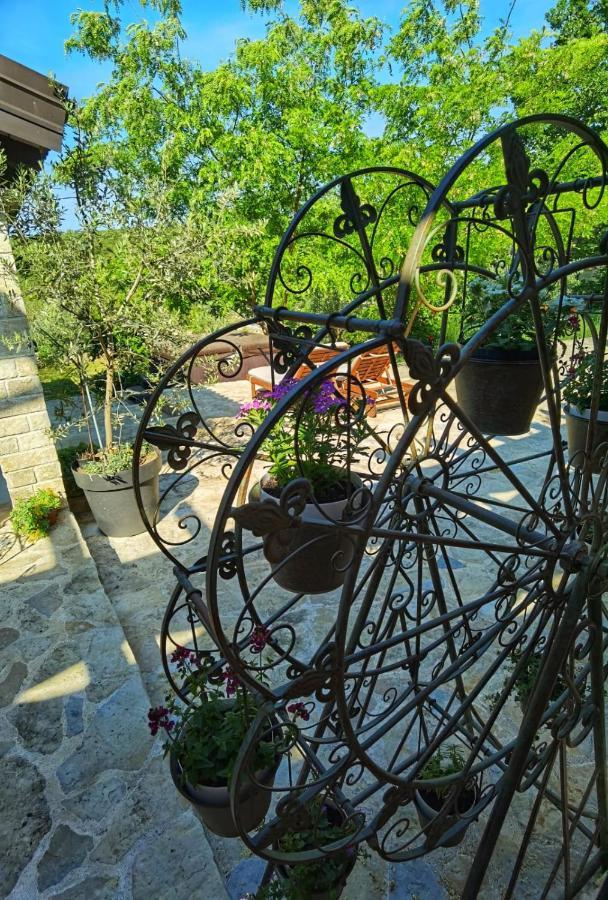 Villa Dvori Dida Mile Sveti Petar  Zewnętrze zdjęcie